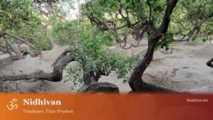 Nidhivan, Vrindavan